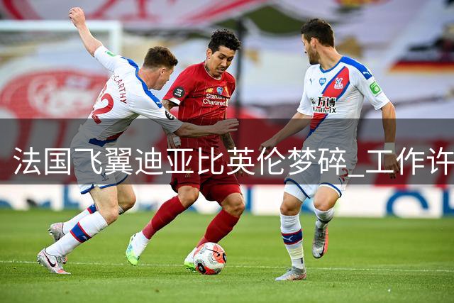 法国飞翼迪亚比英伦梦碎 工作许可阻挠桑德兰引援计划